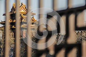 The Imperial Palace in the fenceÃ¯Â¼Å China photo